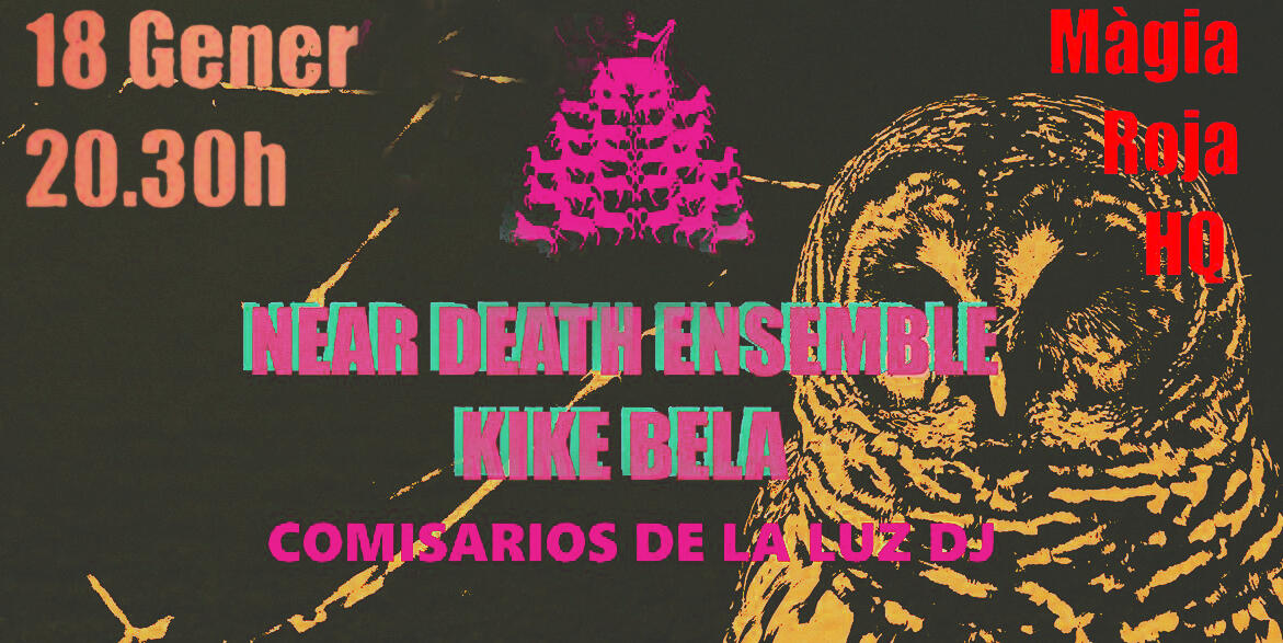 The Near Death Ensemble