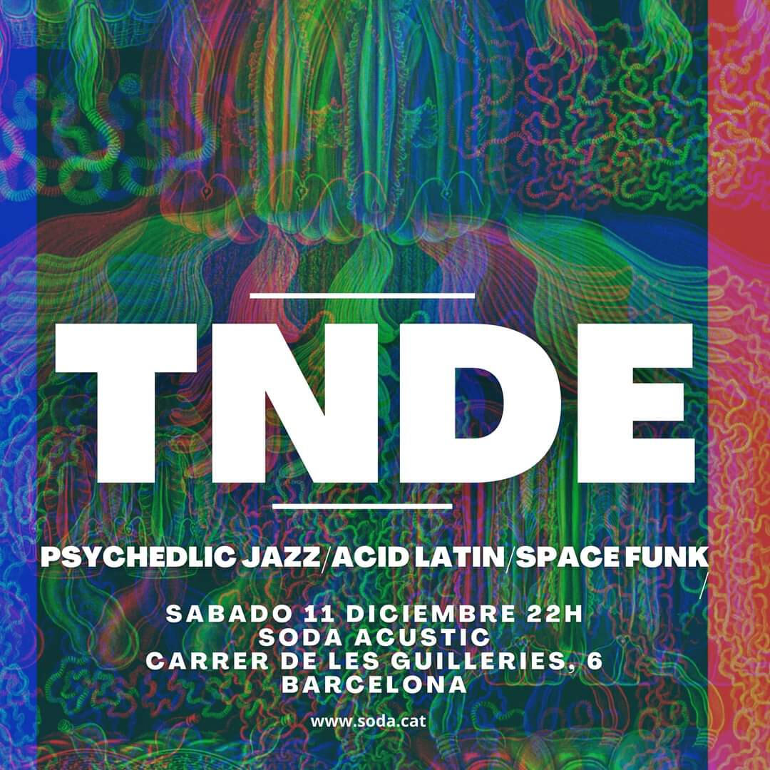 the near death ensemble live at magia roja